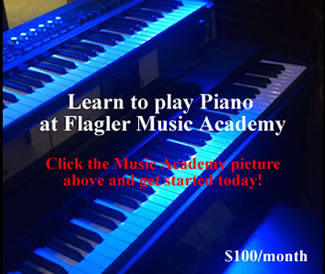 Learn to play the piano.